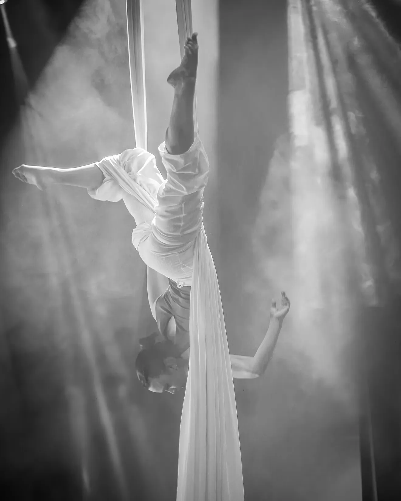 Danza aerea — The Greatest Showman